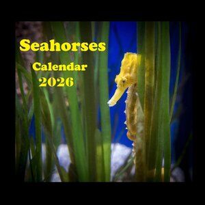 Seahorse Calendar 2026 Seahorse Calendar Coral Reef Calendar Ocean Calendar